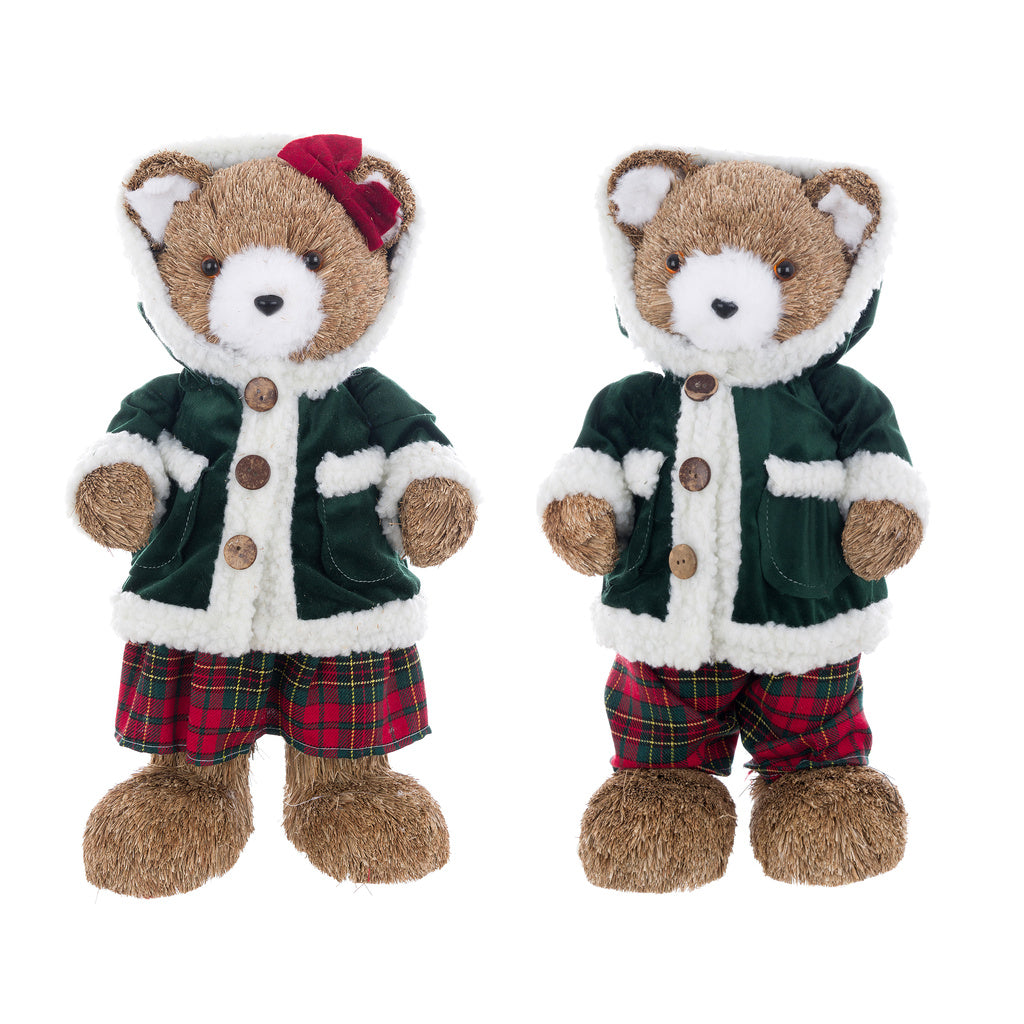 Orso Cortina verde